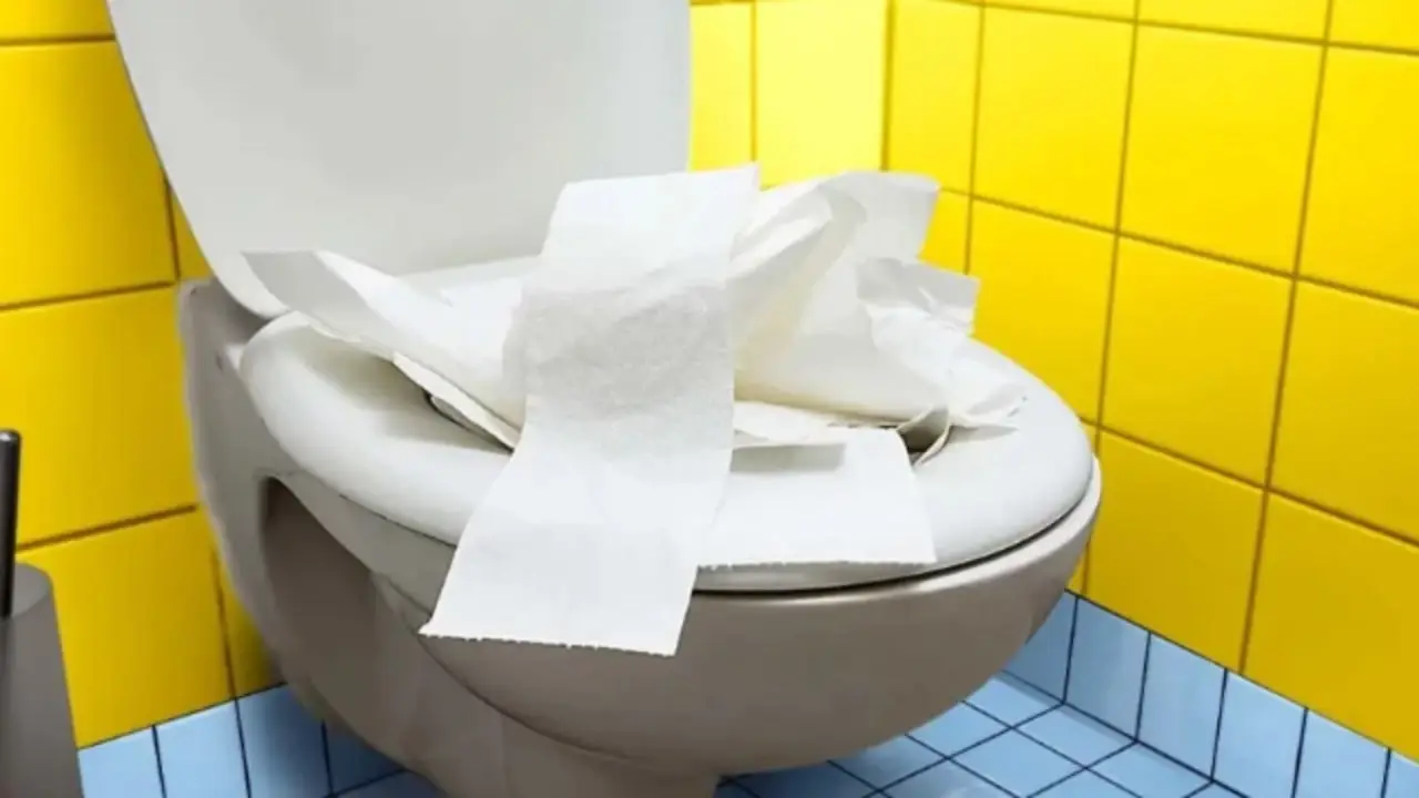 Immagine selezionata