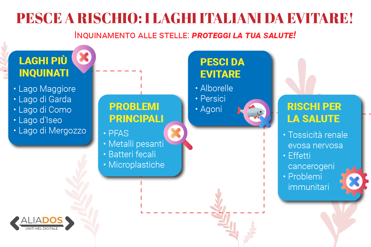 Immagine selezionata